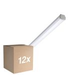 Confezione Multipack 12x Philips Stagna LED WT060C 28W 3400lm - 840 Bianco Freddo | 150cm